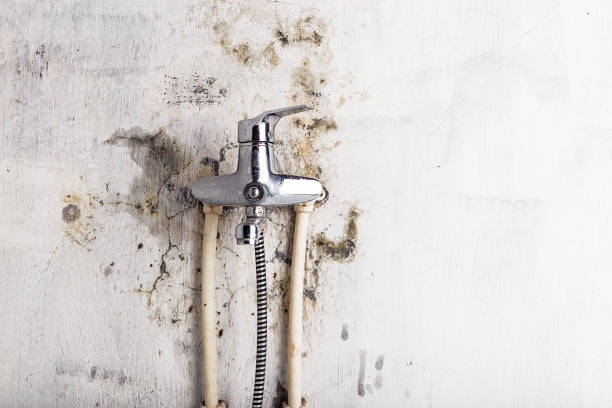 Mold Testing and Removal in Liberty, IN