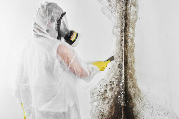 Best Mold Testing  in Liberty, IN