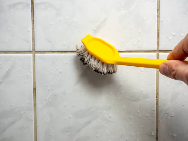 Best Mold Inspection  in Liberty, IN