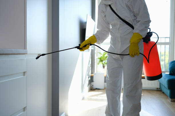 Attic Mold Removal in Liberty, IN