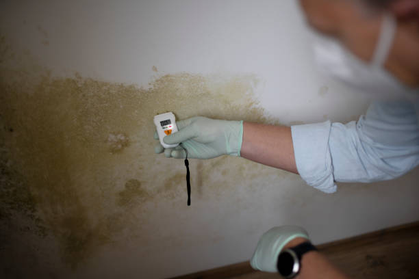 Best Crawl Space Mold Removal  in Liberty, IN