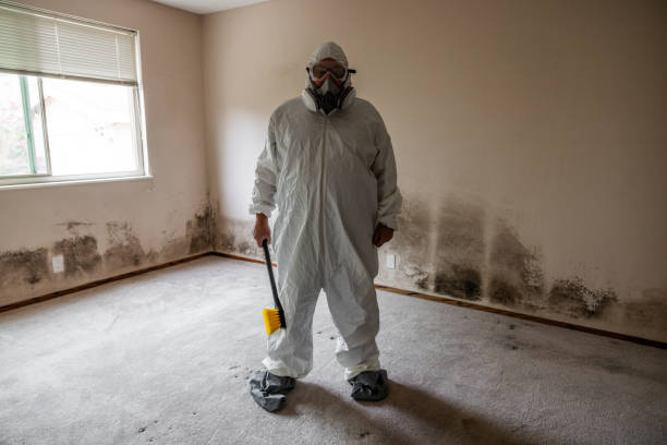 Best Certified Mold Removal  in Liberty, IN